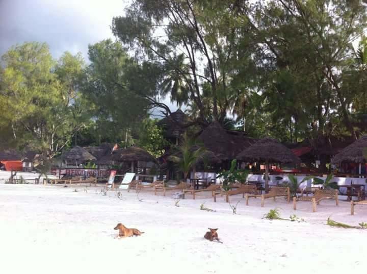 Sipano Beach Lodge Kiwengwa  Luaran gambar