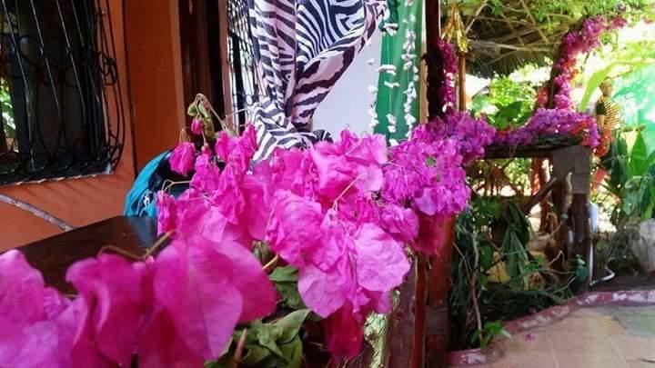 Sipano Beach Lodge Kiwengwa  Luaran gambar