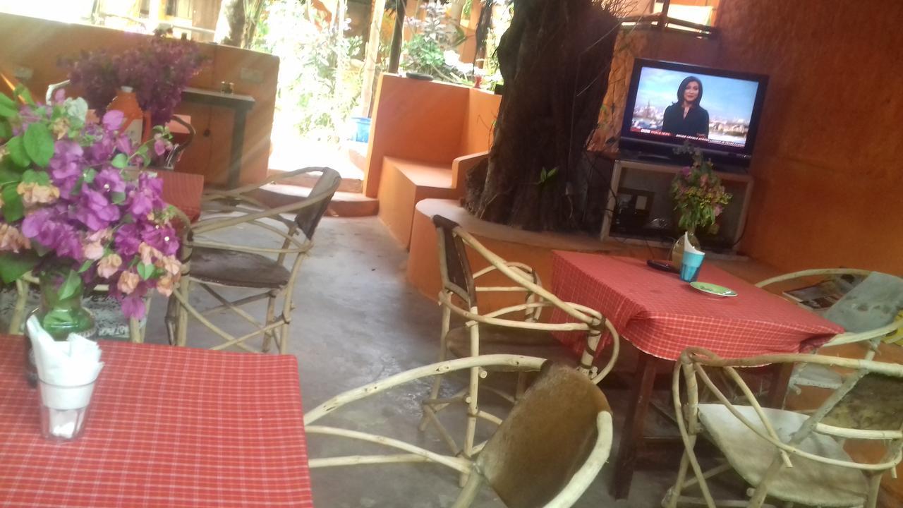 Sipano Beach Lodge Kiwengwa  Luaran gambar