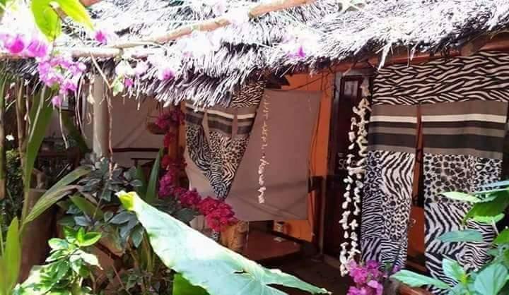 Sipano Beach Lodge Kiwengwa  Bilik gambar