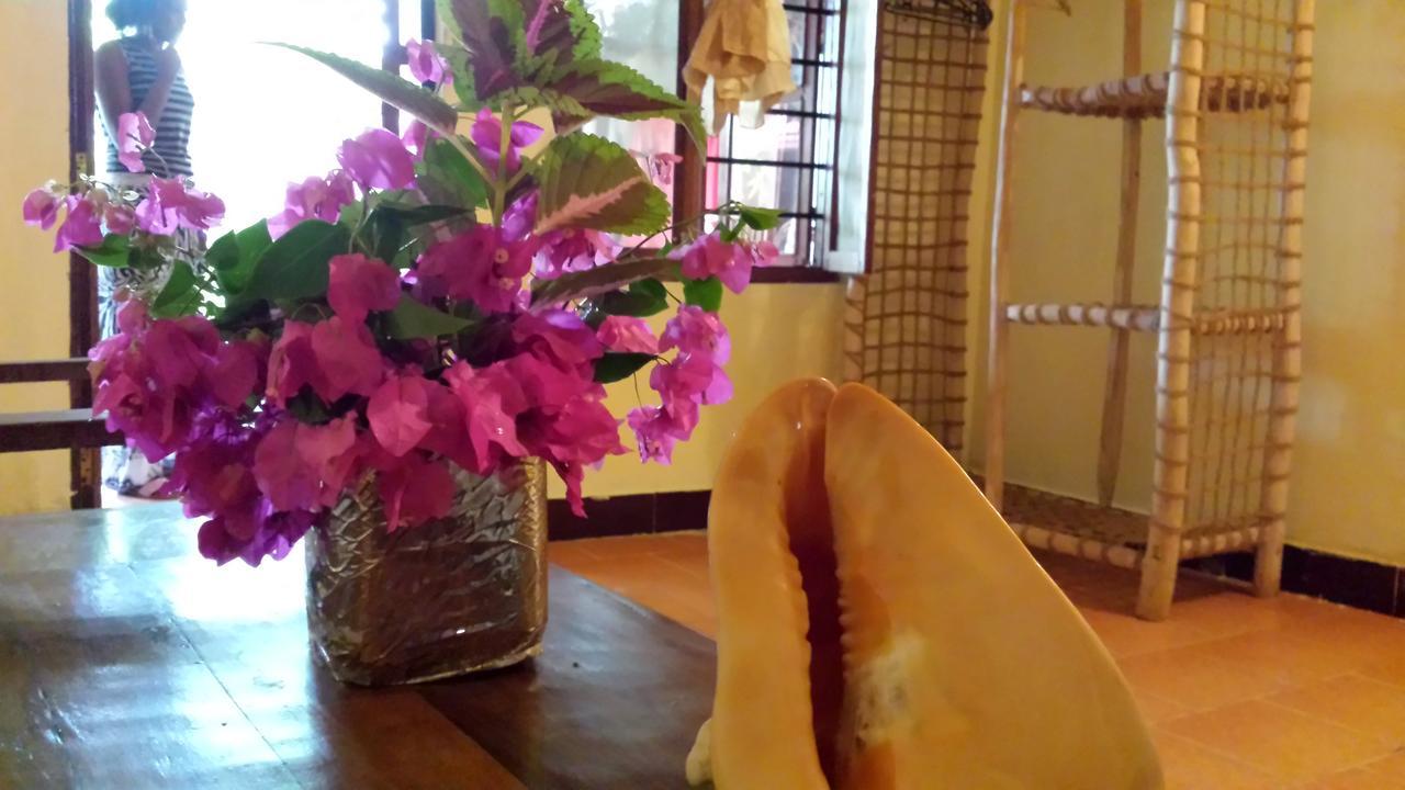 Sipano Beach Lodge Kiwengwa  Luaran gambar